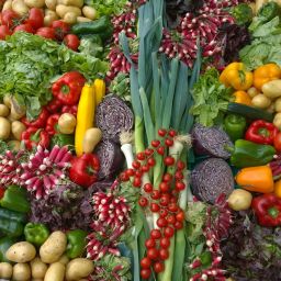 variety-of-vegetables