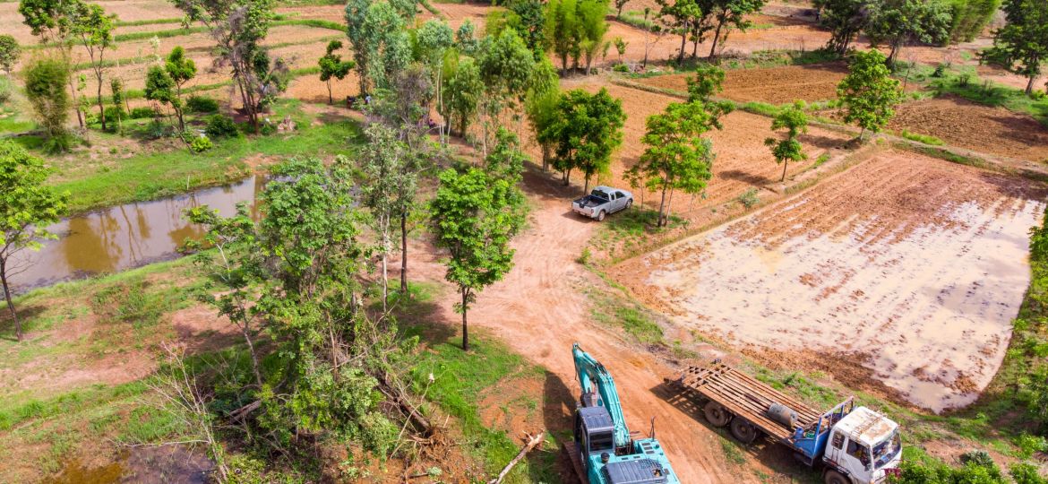 The top view of human deforestation