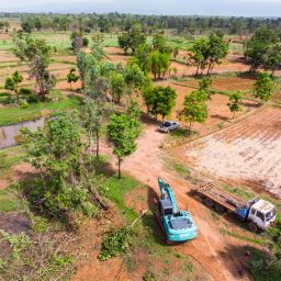 The top view of human deforestation